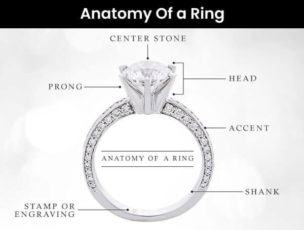 Anatomy Of a Ring